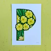 Image 2 of P-RIMROSE