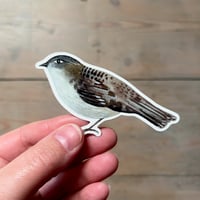 Sedge Warbler vinyl sticker