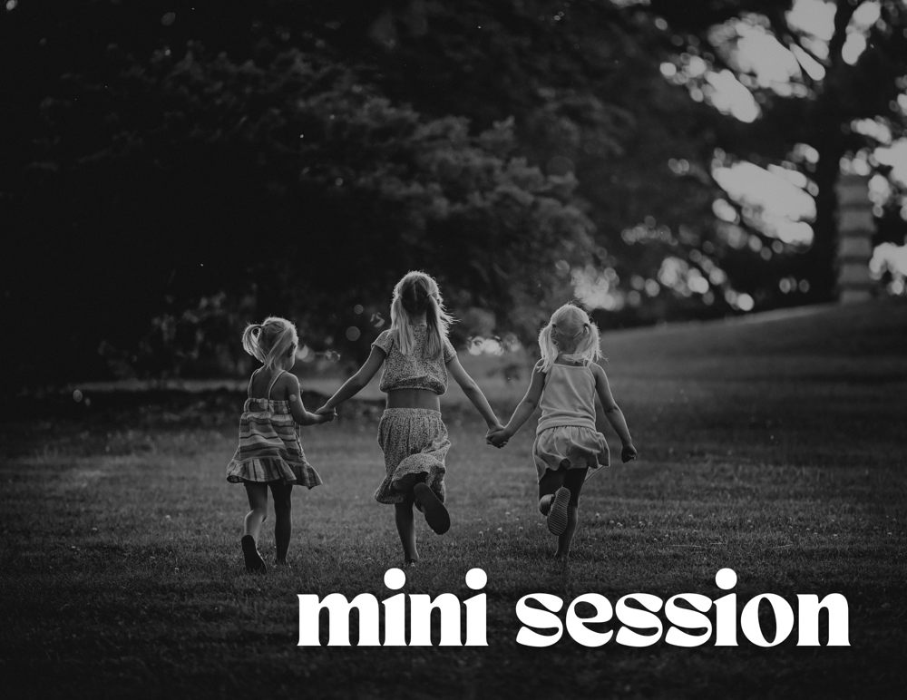 Image of 2025 MINI SESSION