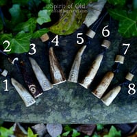 Image 5 of Deer Antler Spiral Pendants (PE1858)