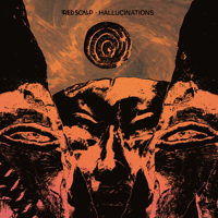 CD Hallucinations EP 