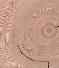 Image 3 of Hemlock Storywood