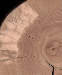 Image 5 of Spalted Beech Storywood