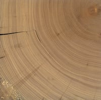 Image 3 of Elm Storywood