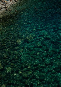 Dive In
