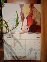 Image 5 of CALENDRIER 2025
