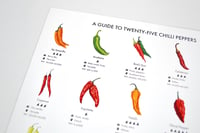 Image 2 of Chilli Peppers Guide Poster 