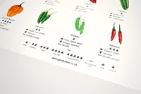 Image 5 of Chilli Peppers Guide Poster 