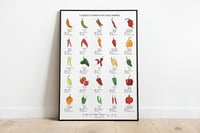 Image 1 of Chilli Peppers Guide Poster 