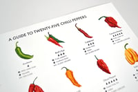 Image 3 of Chilli Peppers Guide Poster 