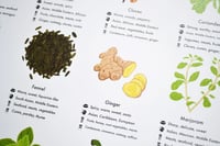 Image 3 of Herbs and Spices Guide Poster