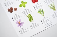 Image 4 of Herbs and Spices Guide Poster