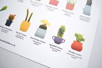 Image 4 of Cactus Houseplant Poster