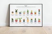 Image 1 of Cactus Houseplant Poster