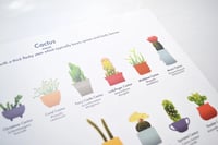 Image 3 of Cactus Houseplant Poster