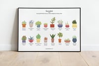 Image 1 of Succulents Houseplant Poster 