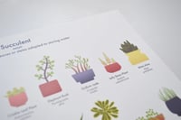 Image 3 of Succulents Houseplant Poster 