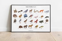 Image 1 of British Wildlife A-Z Poster