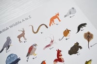 Image 3 of British Wildlife A-Z Poster