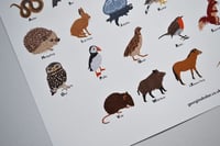 Image 4 of British Wildlife A-Z Poster