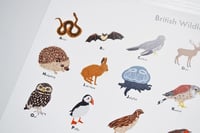 Image 2 of British Wildlife A-Z Poster