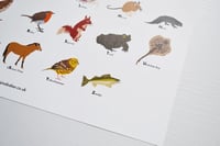 Image 5 of British Wildlife A-Z Poster