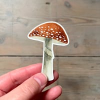 Toadstool vinyl sticker