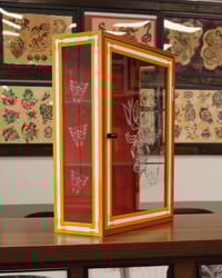Image 1 of Engraved glass cabinet