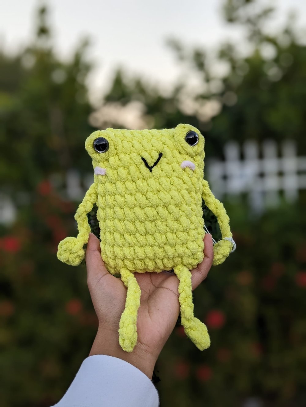 Image of Leggy Frog