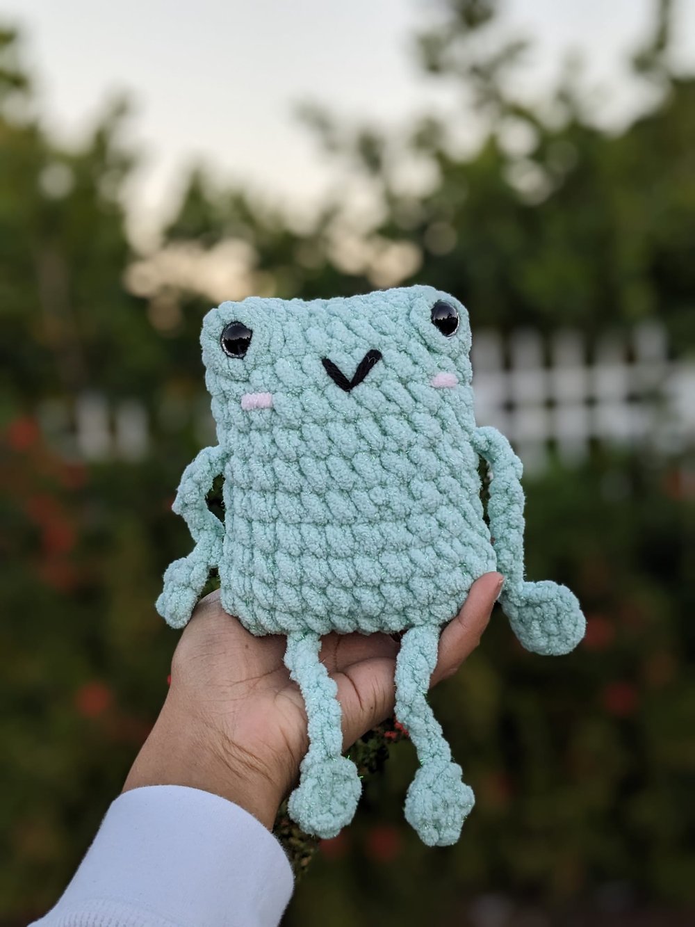 Image of Leggy Frog