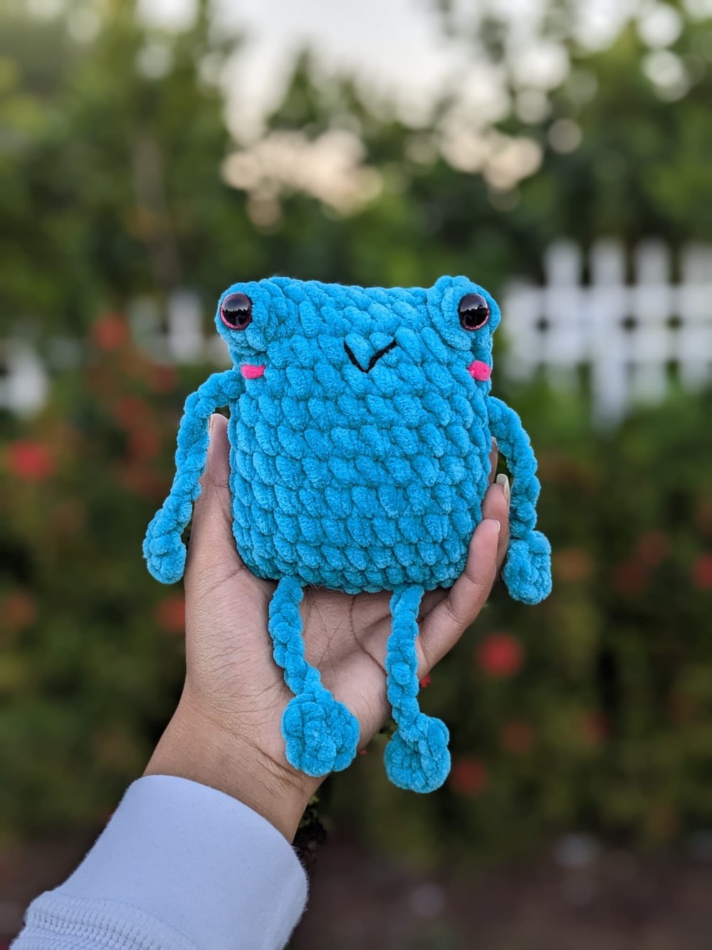 Image of Leggy Frog