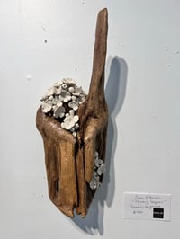 Image 1 of Pointing Bouquet- Cara O'Brien