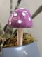 Image of Purple and White Spotted Mushroom Plant Stake