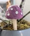 Image of Purple and White Spotted Mushroom Plant Stake