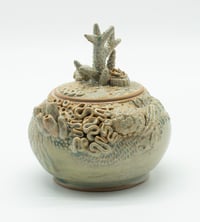 Image 2 of Reef Jar