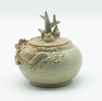 Image 4 of Reef Jar