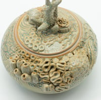 Image 7 of Reef Jar