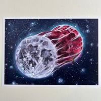 Image 1 of “she bleeds with us” A5 fine art print