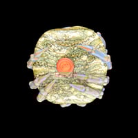 Image 2 of XL. Streaky Blue Crab - Flamework Glass Sculpture Pendant Bead