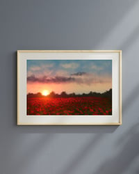 Image 3 of Flower Field Sunset