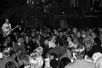 THE ADOLESCENTS (40)