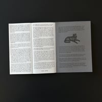 Image 3 of The Black Shuck of Bungay