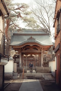 Image 4 of Old temple in Tokyo - Fine Art - 10 copies / Signed