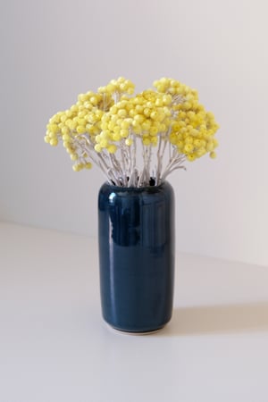 Image of Vase Bleu Minuit