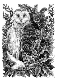 Barn Owl A5 Print