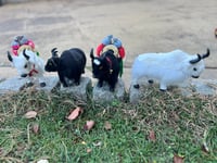 Image 3 of Small Yak Figures