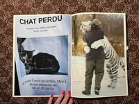 Image 3 of Cat & cats