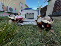Image 2 of Tibetan Nomad Family Set