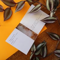 Image 2 of Fringale
