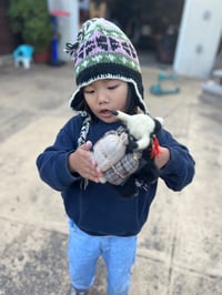 Image 3 of Small Loaded Yak Dolls ⠀